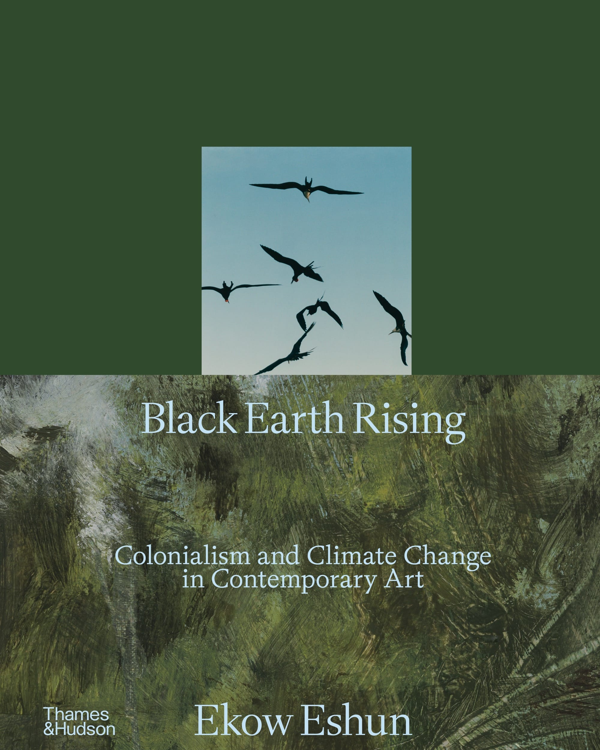 the cover of the book 'Black Earth Rising'